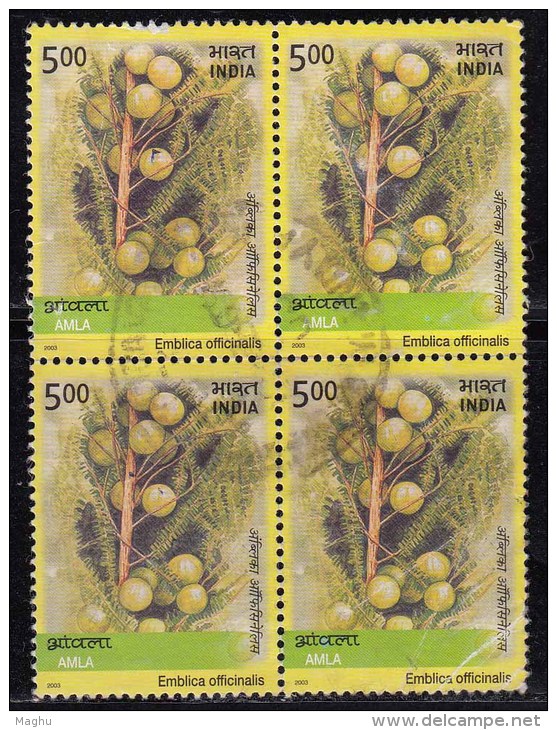 India 2003 Used Block, Amla Plant, 'Emblica Officinalis', Fruit,  Medicinal Plants, Ascorbic Acid (vitamin C), Medicine - Plantas Medicinales