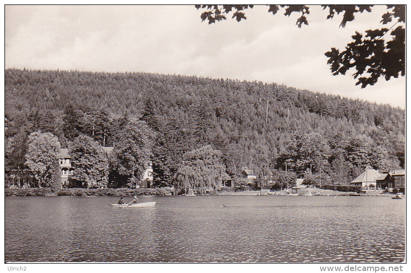 AK Georgenthal - Thür. Wald - Am Hammerteich  (14876) - Georgenthal