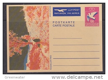 Liechtenstein Postal Stationery  Ruggeller Ried Unused (21761) - Ganzsachen