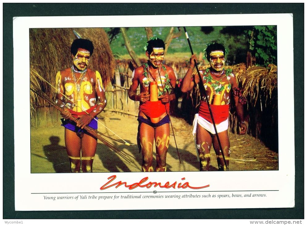 INDONESIA  -  Yali Warriors  Used Postcard As Scans - Indonesia