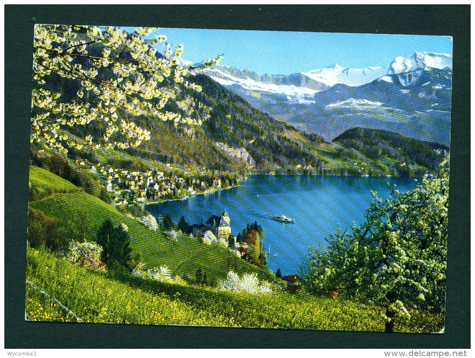 SWITZERLAND  -  Vitznau  Used Postcard As Scans - Vitznau