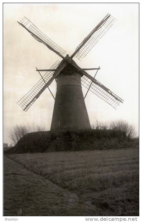 KALMTHOUT (Antw.) - Molen/moulin - De Verdwenen Heidemolen In 1926 (gedynamiteerd In 1944) - Maxikaart - Kalmthout