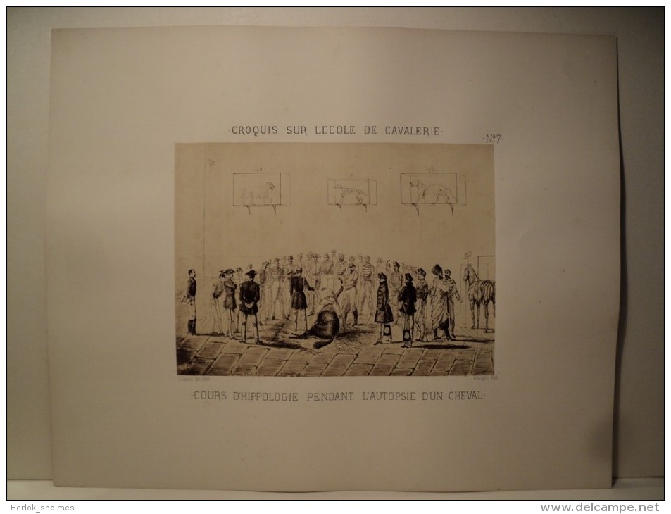 5 Photographies Cavalerie Ecole de Saumur Photographe Bourgoin d´Après dessins G. Gasser. ca1870