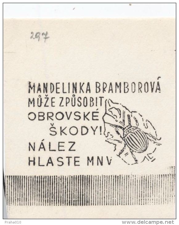 J1178 - Czechoslovakia (1945-79) Control Imprint Stamp Machine (R!): Colorado Beetle Can Cause Huge Damage! - Proofs & Reprints