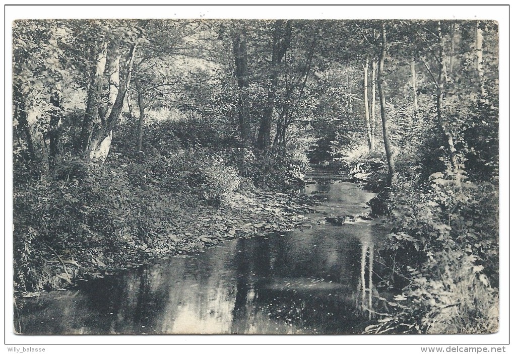 CPA - HABAY LA NEUVE - Sous Bois Près Du Pont D'Oie - Cachet Ambulant Arlon - Bruxelles  // - Habay