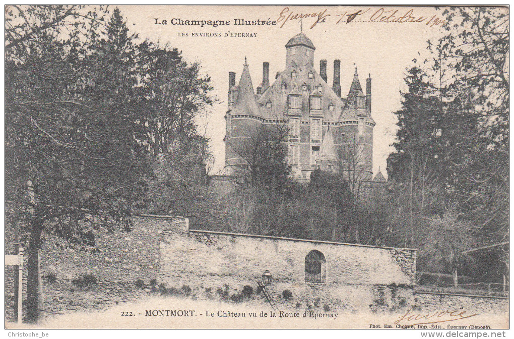 CPA Montmort, Le Château Vu De La Route D'Epernay (pk18223) - Montmort Lucy