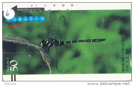 Dragonfly Libellule Libelle Libélula - Insect (6) Barcode 330-0601 - Autres & Non Classés