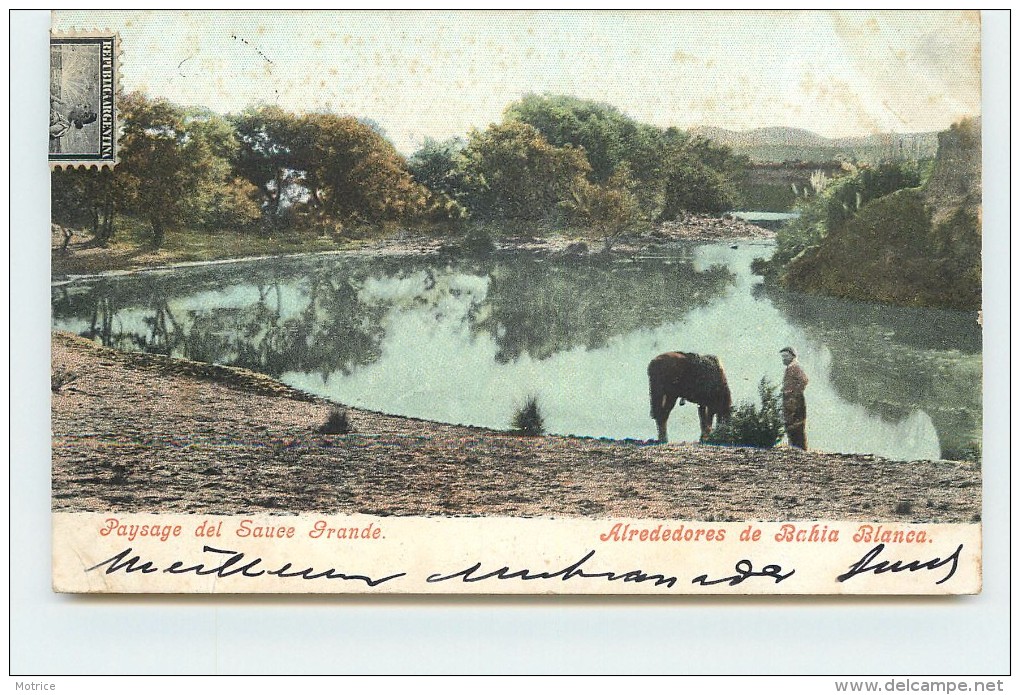 ALREDEDORE DE BAHIA BLANCA - Paysage Del Sauce Grande. - Argentine