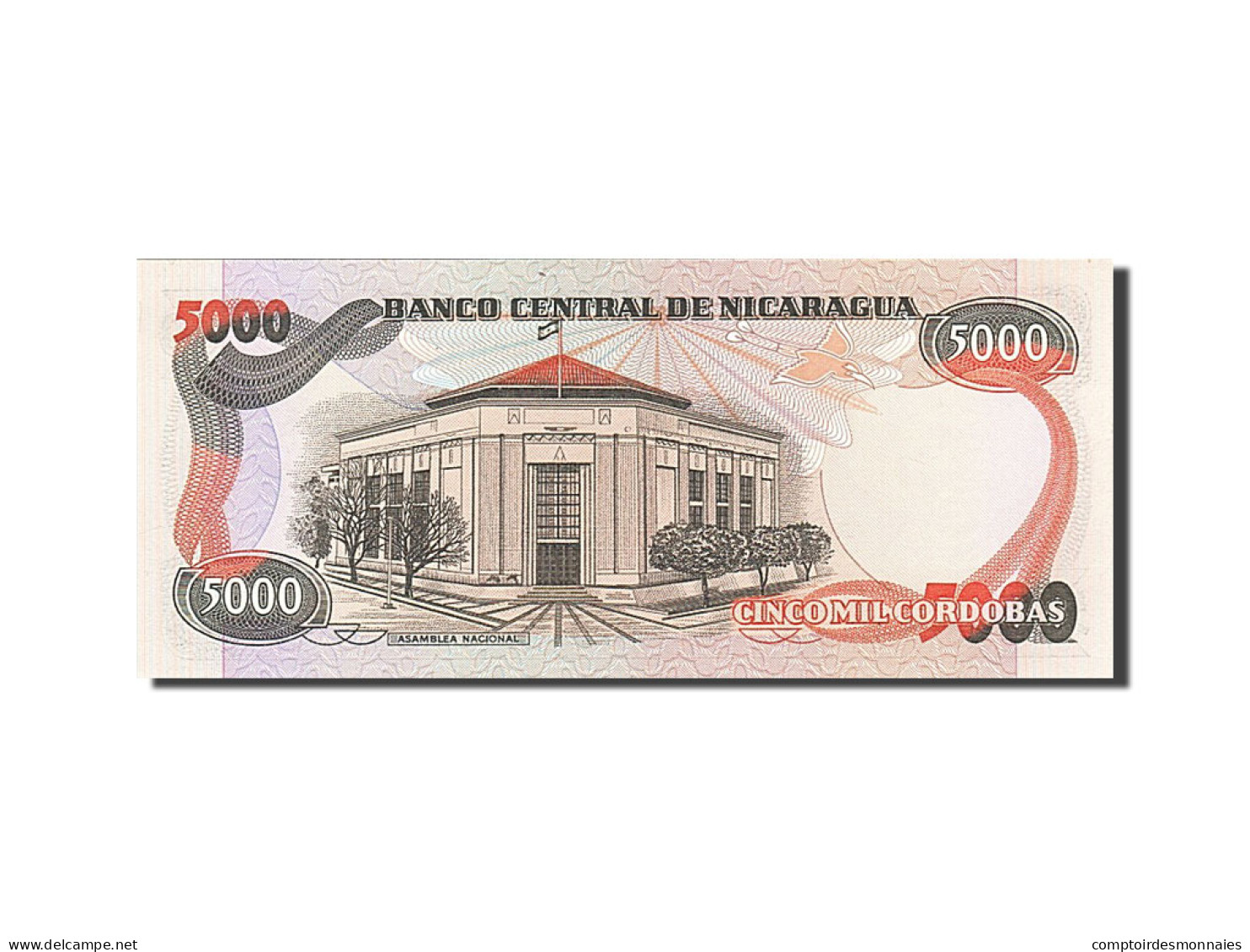 [#258736] Nicaragua, 5000 Cordobas, Type Général Benjamin Zeledon - Nicaragua