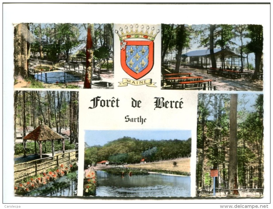 CP - BERCE (72) Foret - Autres & Non Classés