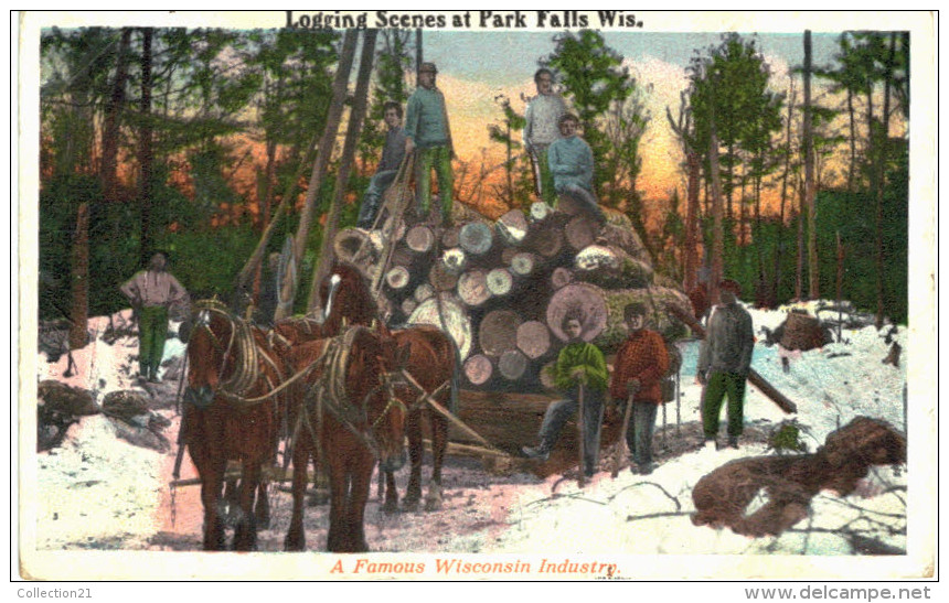 LOGGING SCENES AT PARK FALLS ... INDUSTRIE - Autres & Non Classés