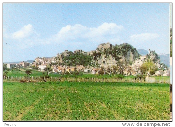 2322/A/FG/MF/15 - BAGNOLI DEL TRIGNO (ISERNIA) - Panorama - Isernia