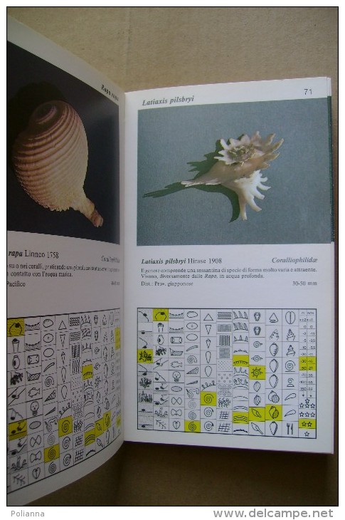 PCP/40 Senders CONCHIGLIE DA COLLEZIONE Priuli & Verlucca 1984 - Manuels Pour Collectionneurs