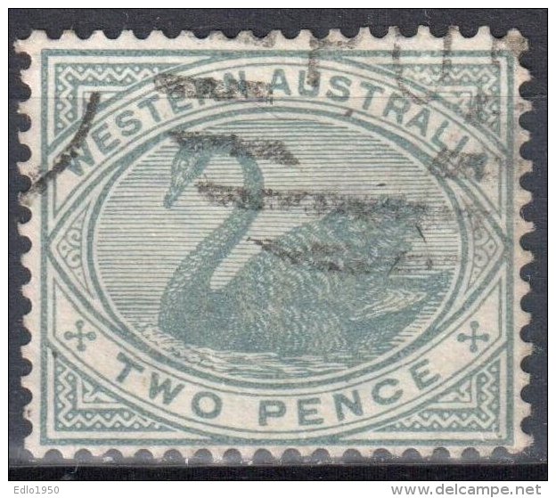 Western Australia 1890/93 - Swan - Mi 35 - Perf 14 - Used - Gebruikt