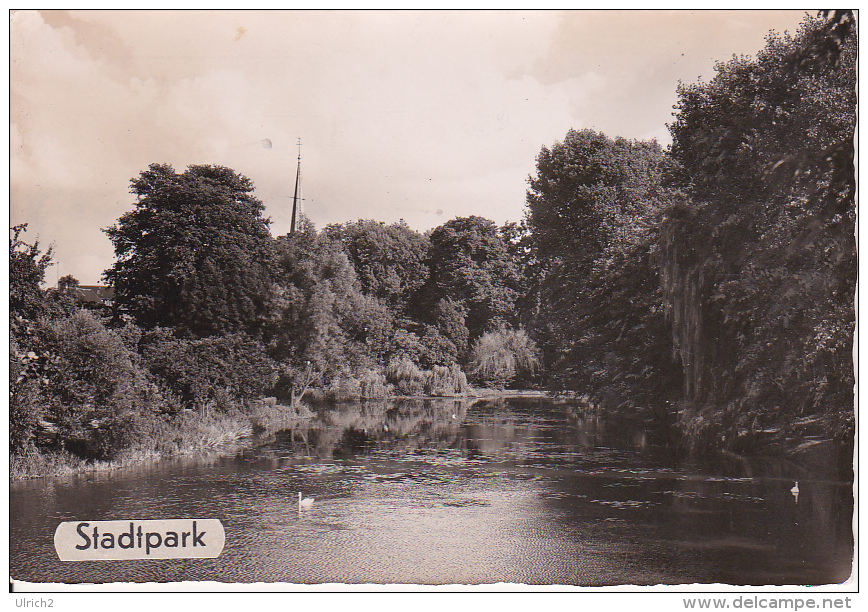 AK Foto Moers - Stadtpark - 1954 (14963) - Moers