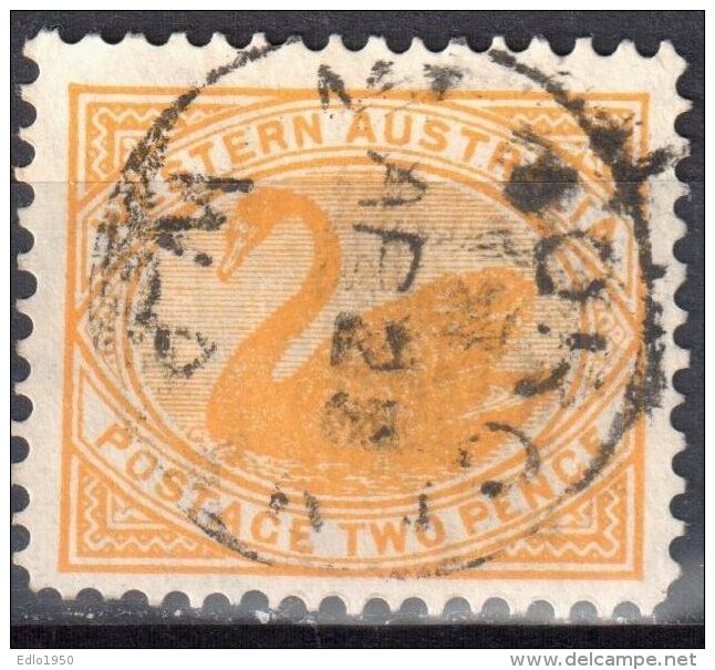 Western Australia 1902/1911 - Swan - Mi 50A - Perf 12½  - Used - Used Stamps