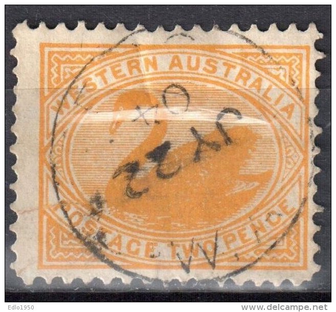 Western Australia 1902/1911 - Swan - Mi 50A - Perf 12½  - Used - Used Stamps