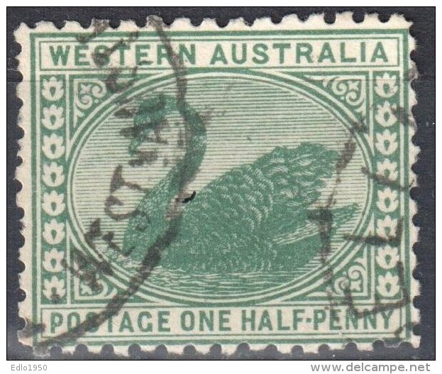 Western Australia 1905/1912 - Swan - Mi 61A - Perf 12½  - Used - Used Stamps