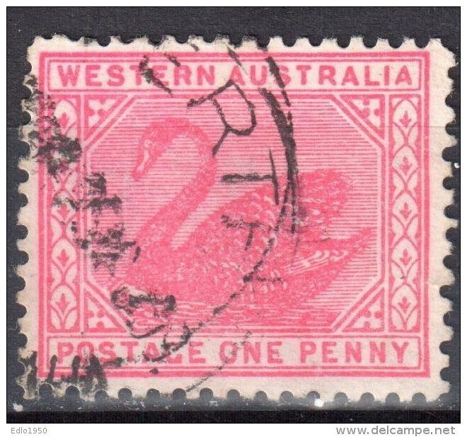 Western Australia 1905/1912 - Swan - Mi 62A - Perf 12½  - Used - Oblitérés