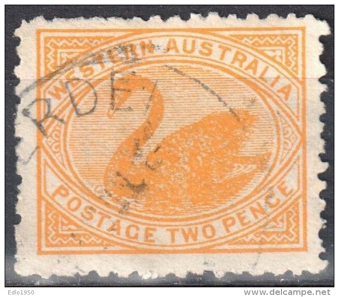 Western Australia 1905/1912 - Swan - Mi 63A - Perf 12½  - Used - Usati