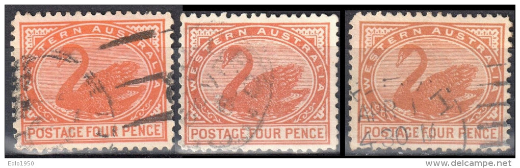 Western Australia 1905/1912 - Swan - 3 X Mi 65A - Perf 12½  - Used - Used Stamps