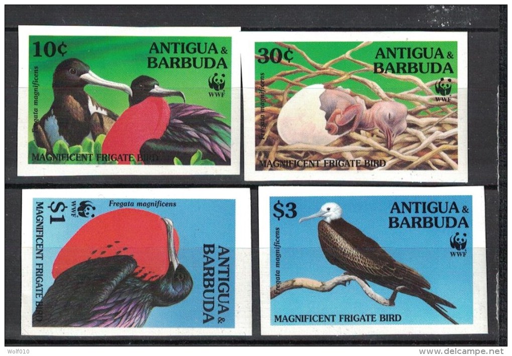 Antigua. Frigate Birds. WWF. 1994. 4 MNH Imperforeted Stamps. Scott Not Listed. - Marine Web-footed Birds