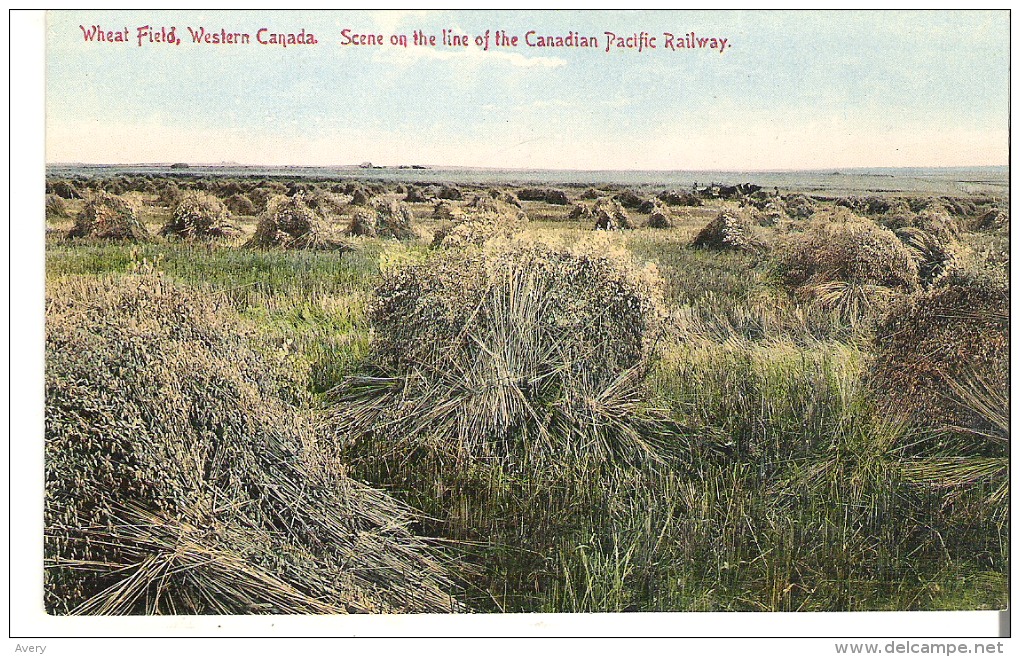 Wheat Field, Western Canada Scene On The Line Of The Canadian Pacific Railway - Fermes