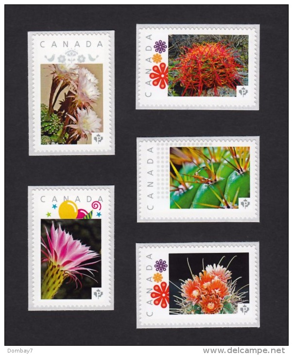 [2] CACTUS FLOWERS  Set Of 5 Personalized Picture Postage Unused Stamps, "P"- Rate. Canada 2015 [p15/2ct52] - Cactusses