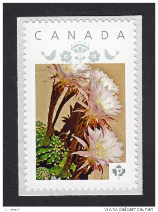 [2] CACTUS FLOWERS  Set Of 5 Personalized Picture Postage Unused Stamps, "P"- Rate. Canada 2015 [p15/2ct52] - Cactusses