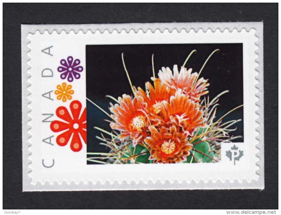 [2] CACTUS FLOWERS  Set Of 5 Personalized Picture Postage Unused Stamps, "P"- Rate. Canada 2015 [p15/2ct52] - Cactusses