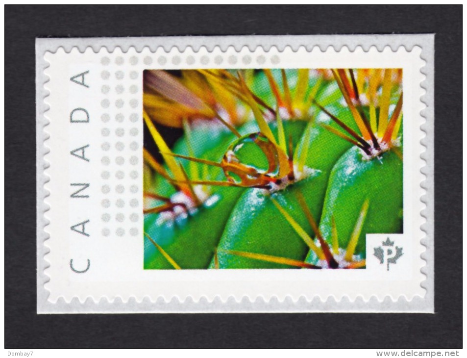 [2] CACTUS FLOWERS  Set Of 5 Personalized Picture Postage Unused Stamps, "P"- Rate. Canada 2015 [p15/2ct52] - Cactusses