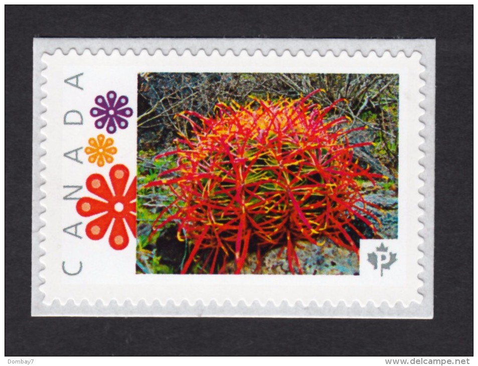 [2] CACTUS FLOWERS  Set Of 5 Personalized Picture Postage Unused Stamps, "P"- Rate. Canada 2015 [p15/2ct52] - Cactusses