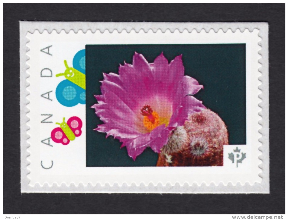 [1]  CACTUS FLOWERS  Set Of 5 Personalized Picture Postage Unused Stamps, "P"- Rate. Canada 2015 [p15/2ct51] - Cactusses