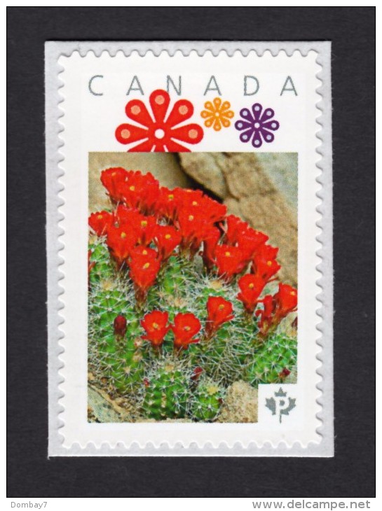 [1]  CACTUS FLOWERS  Set Of 5 Personalized Picture Postage Unused Stamps, "P"- Rate. Canada 2015 [p15/2ct51] - Cactusses