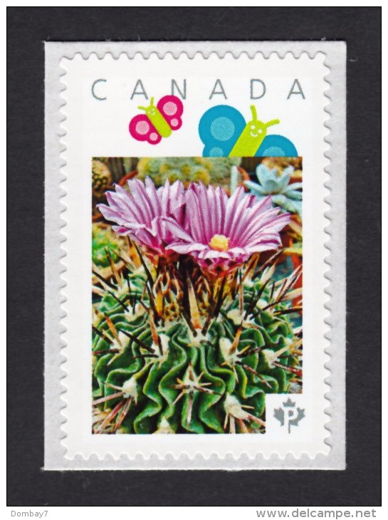 [1]  CACTUS FLOWERS  Set Of 5 Personalized Picture Postage Unused Stamps, "P"- Rate. Canada 2015 [p15/2ct51] - Cactusses