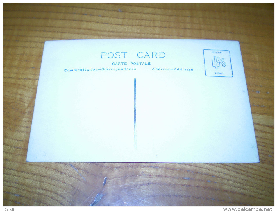 Carte Photo De La Tombe De Maurice Bailly Avec 2 Drapeaux ; Est-ce Celui De Nuits St Geoges ? à Localiser - Funeral