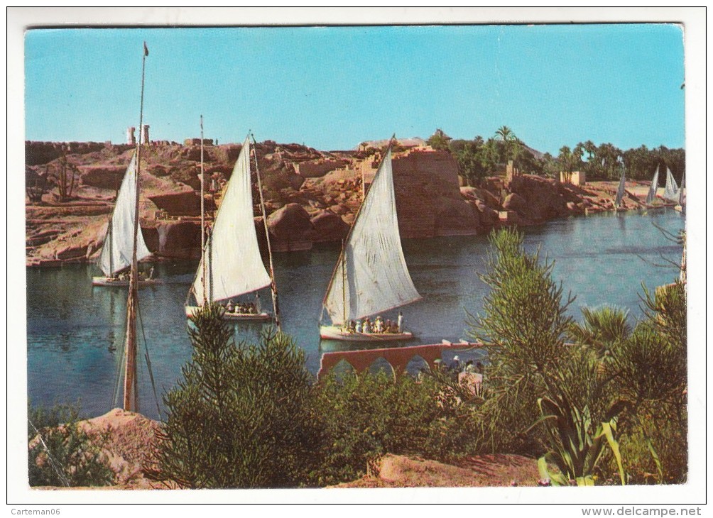 Egypte - General View Of The Nile At Aswan - Assouan