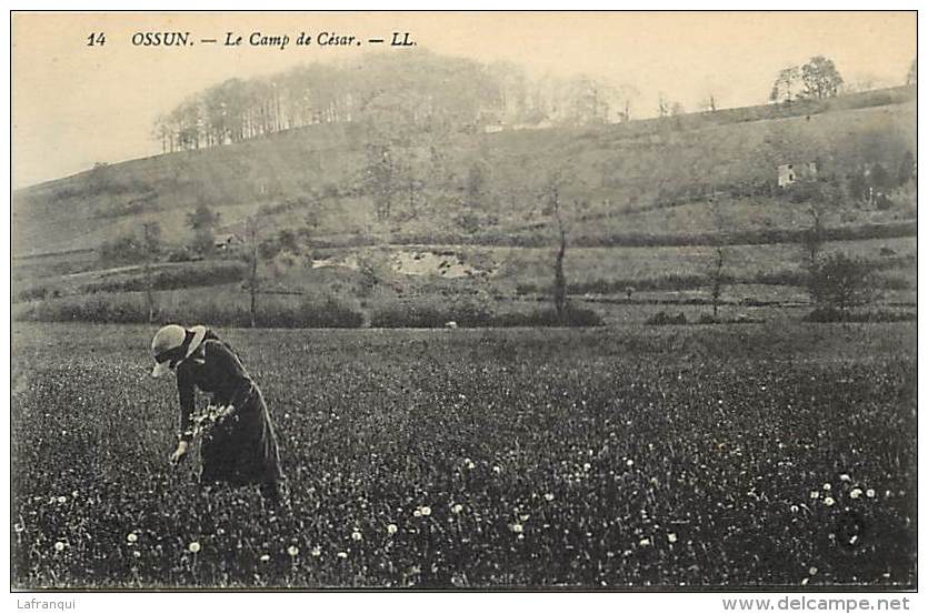 Hautes Pyrenees -ref A695- Ossun - Le Camp De Cesar - Carte Bon Etat  - - Ossun