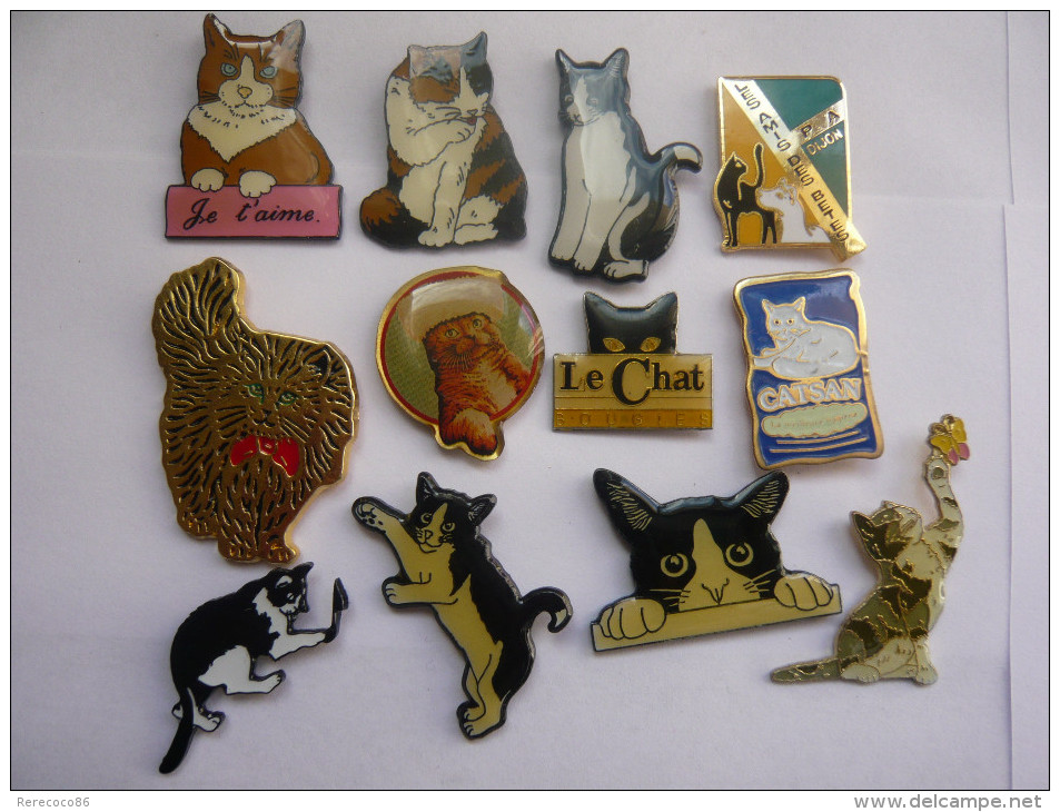 12 Pin S Chat - Animaux