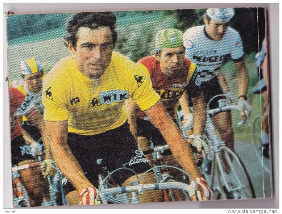 Guide Du TOUR  1981. Edité Par PIF. - Cyclisme