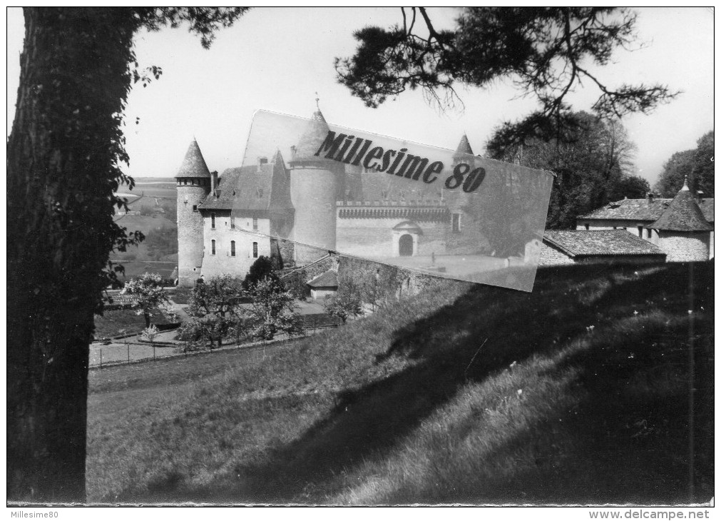 CPSM Virieu Sur Bourbre Le Vieux Chateau - Virieu