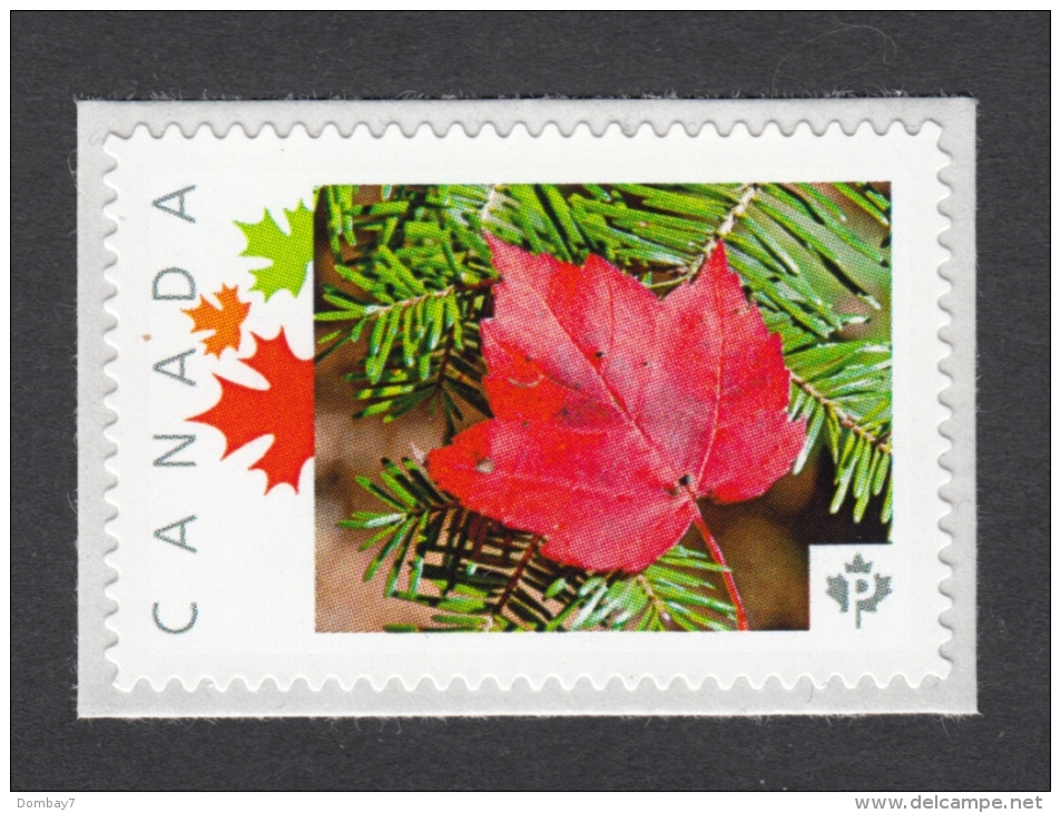 Autumn. RED LEAF Large Image Picture Postage MNH Stamp,  Canada 2014 [p73sn2] - Trees