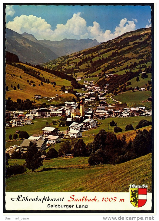 Saalbach  -  Panorama  -  Ansichtskarte Ca.1971    (4497) - Saalbach