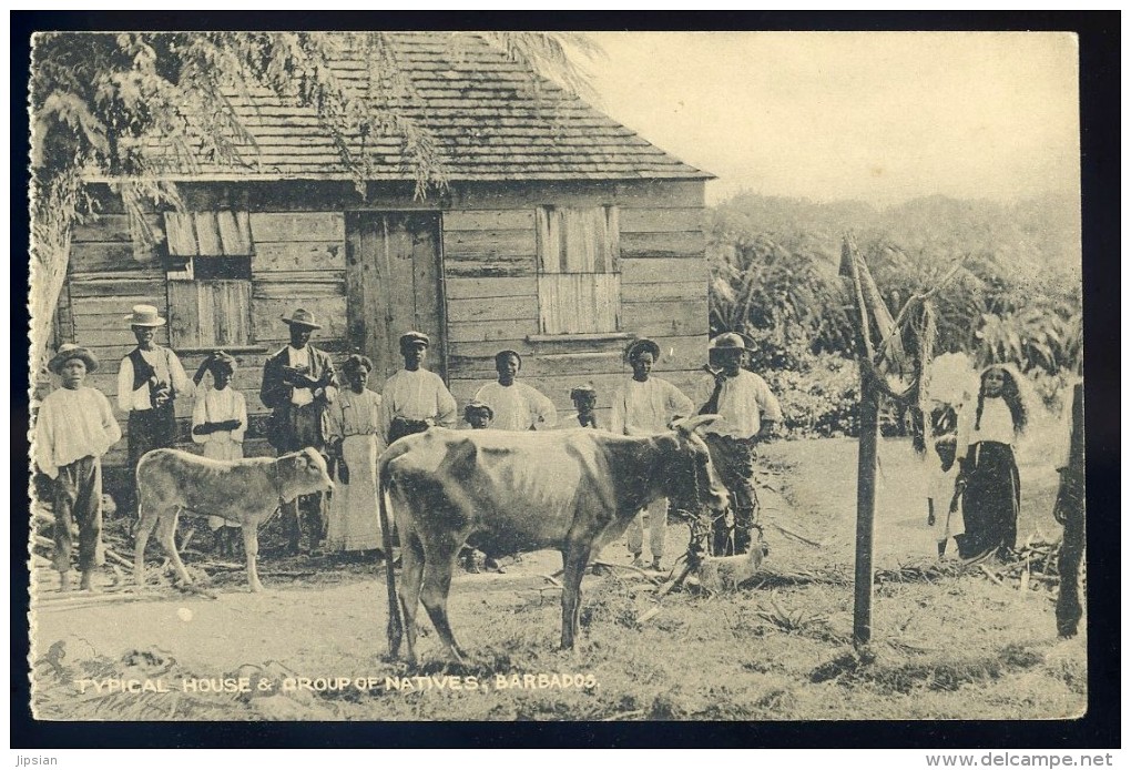 Cpa Typical House & Group Of Natives  ,  Barbados , Barbades      AG15 19 - Barbades