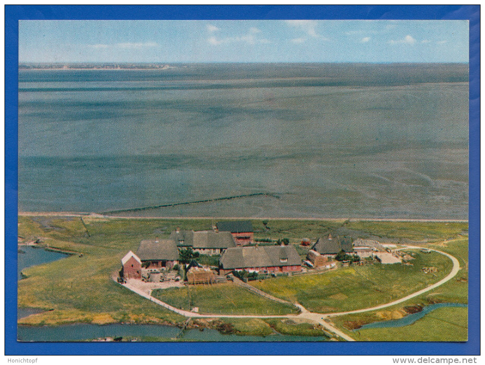 Deutschland; Langeness Hallig; Maienswarft - Halligen