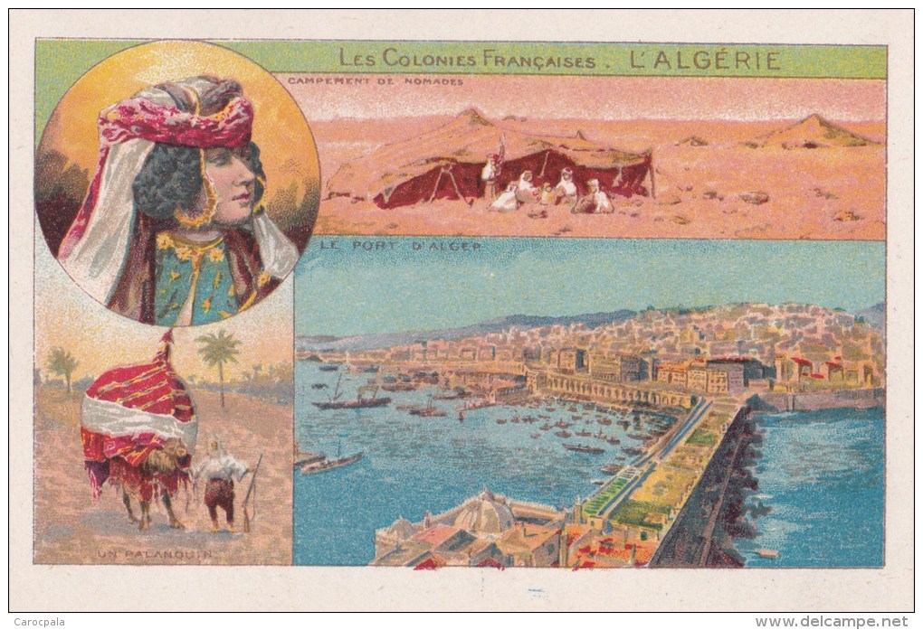 Chromo 1900 LES Colonies Françaises : L'Algérie : Le Port D'alger (un Palanquin) - Autres & Non Classés