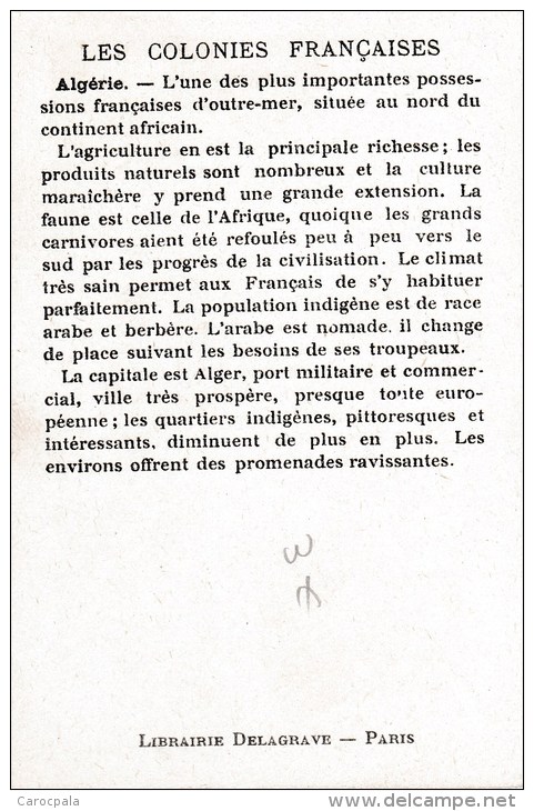 Chromo 1900 LES Colonies Françaises : L'Algérie : Le Port D'alger (un Palanquin) - Autres & Non Classés