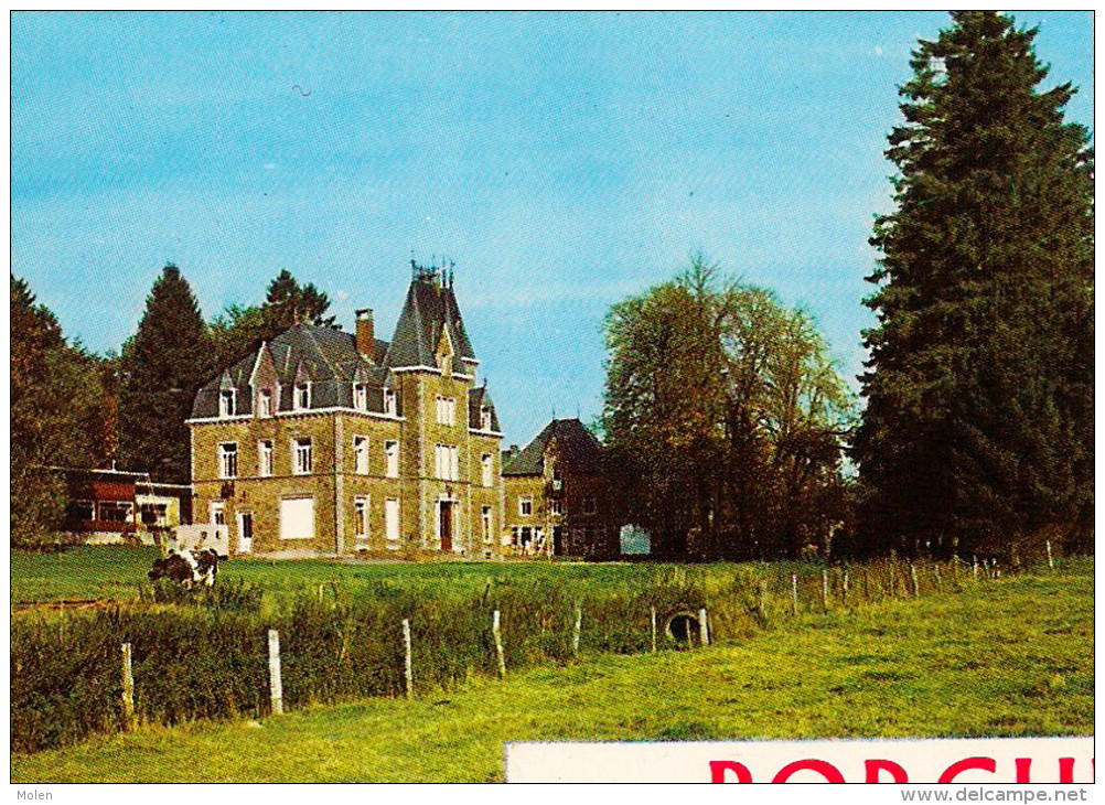 MULTIVUES * PORCHERESSE EN ARDENNE  = DAVERDISSE * Prov. Luxembourg * Chevron 417 - Daverdisse