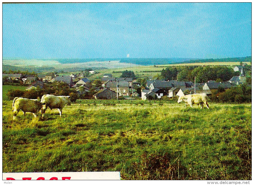 MULTIVUES * PORCHERESSE EN ARDENNE  = DAVERDISSE * Prov. Luxembourg * Chevron 417 - Daverdisse