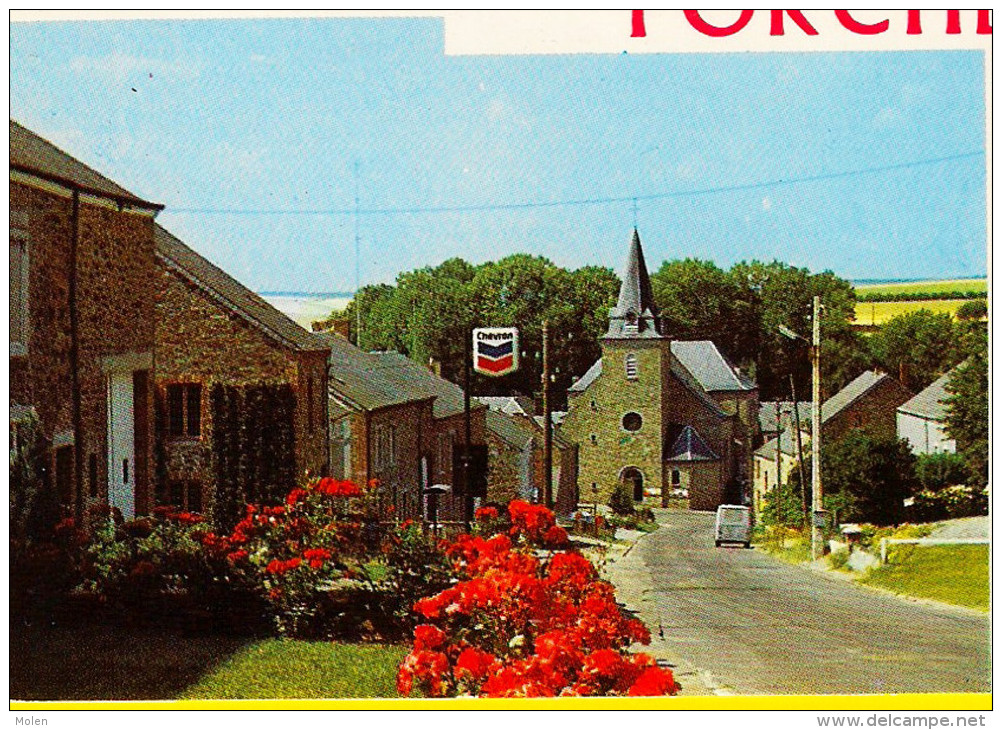 MULTIVUES * PORCHERESSE EN ARDENNE  = DAVERDISSE * Prov. Luxembourg * Chevron 417 - Daverdisse